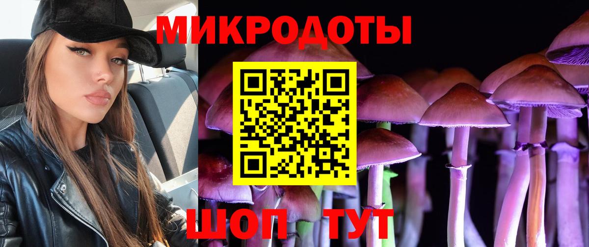 Галлюциногенные грибы MAGIC MUSHROOMS Кузнецк