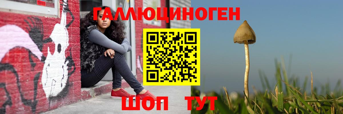 Кузнецк  Галлюциногенные грибы прущие грибы  Вход с VPN 