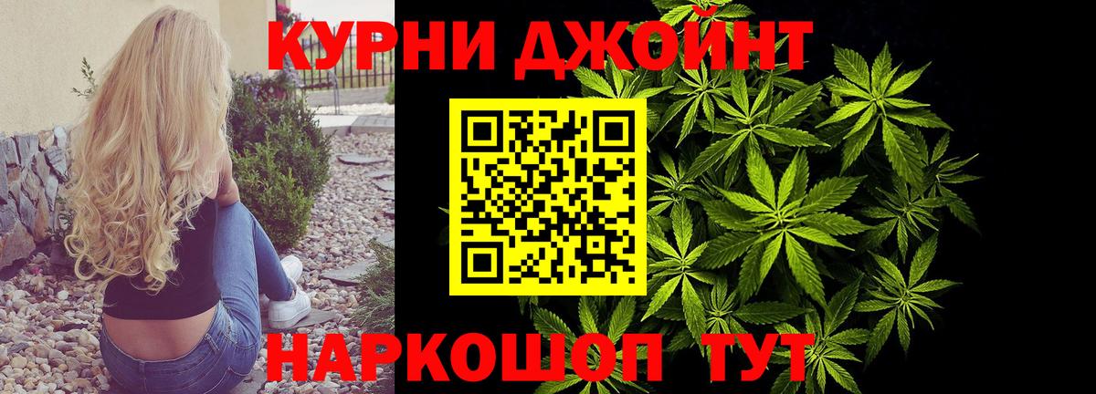 Конопля семена Кузнецк